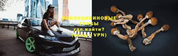 индика Абинск