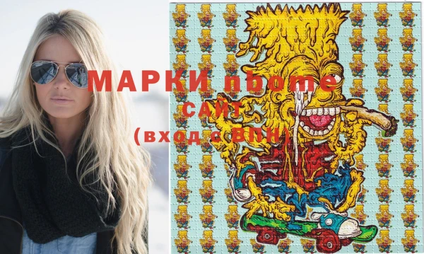 индика Абинск