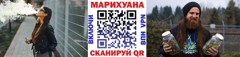 Конопля гибрид  Ильский 